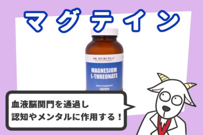 マグテインと解説