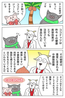 ココナッツオイルとMCTオイルについて【マンガ・海外サプリ・iHerb】