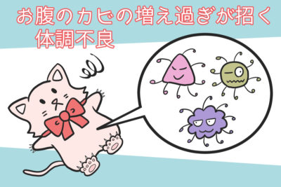 お腹のカビの増えすぎが招く体調不良【iHerb・海外サプリ】