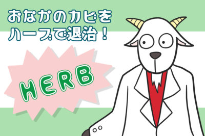 おなかのカビをハーブで退治！【iHerb・海外サプリ】